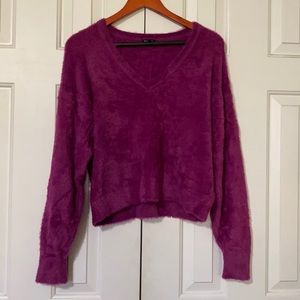 SPLENDID-- Fluffy Purple Crop